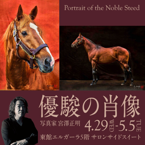 写真家　宮澤正明【優駿の肖像】