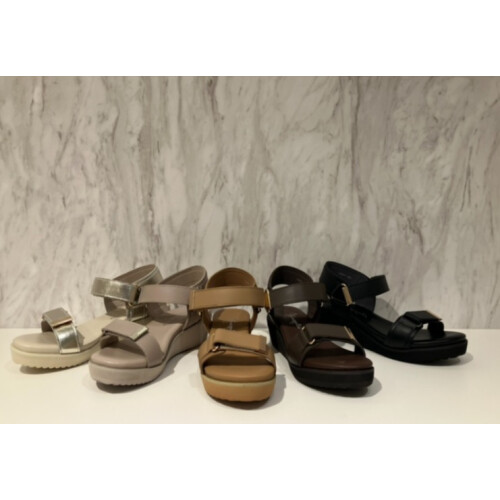 大人気シティスポサンが入荷しました