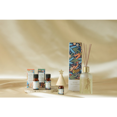 【生活の木】冬季限定　シトラスウインターシリーズ