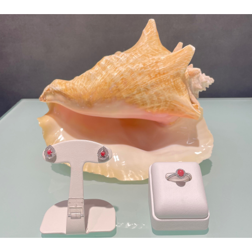 コンクパールの商品紹介の件🐚