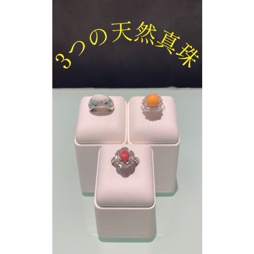 天然真珠のご案内🐚