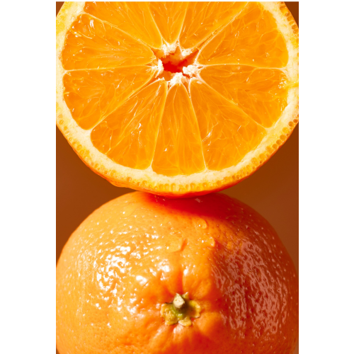 ヒロフ10%OFF新春優待＆新作のご案内