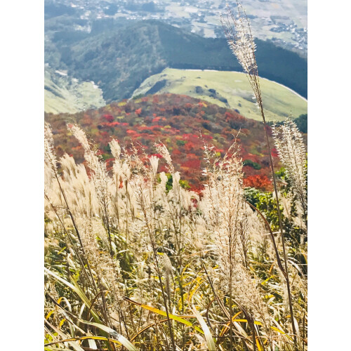 店内講習会のご案内。秋の登山デビュー♪