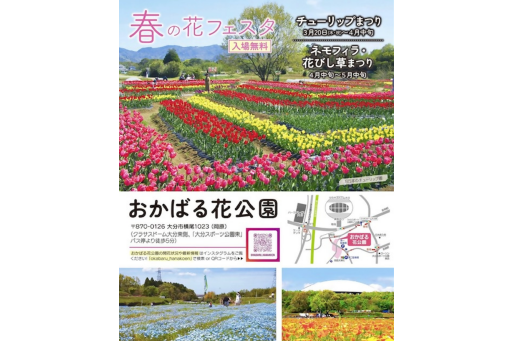 【お出かけスポット】春の花フェスタ ネモフィラ・花びし草まつり［大分］