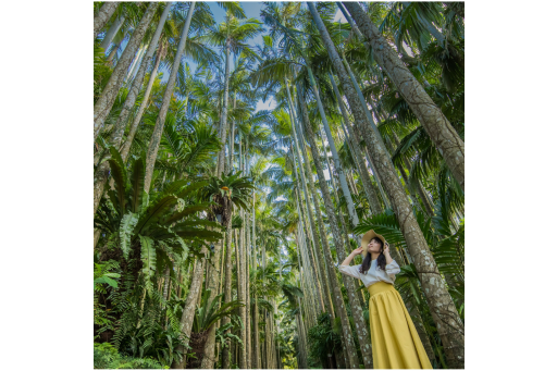 「美らヤシパークオキナワ・東南植物楽園」　日本1の観光地に選ばれた楽園で遊び尽くせ！