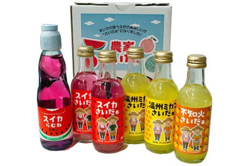 ＜道の駅すいかの里植木＞農家サイダー(不知火＆温州ミカンサイダー）