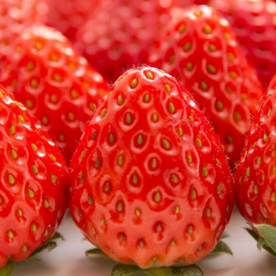 いちごのスイーツ祭り🍓🍓🧺😋