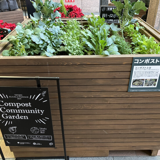 コンポストコミュニティーガーデン
