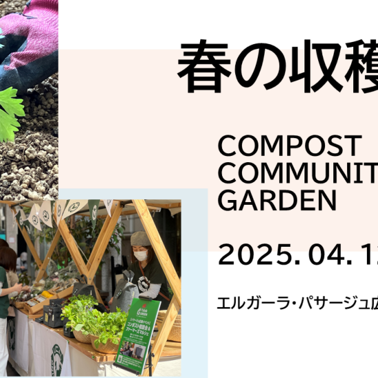 春の収穫祭やります！🥬　パサージュ広場コンポストコミュニティガーデン