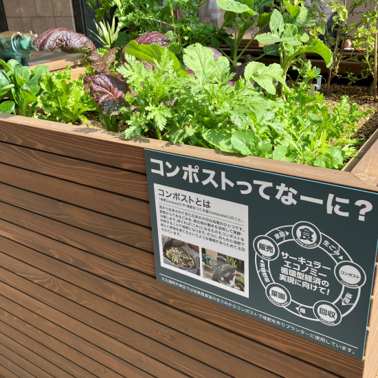 天神コンポストコミュニティガーデン活動報告🌱