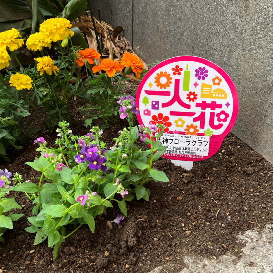 花でまちを彩る「天神フローラクラブ」の取り組みをご紹介🌸