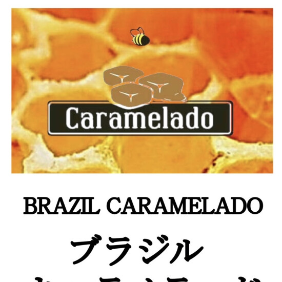 スペシャルティコーヒー ブラジル🇧🇷☕
