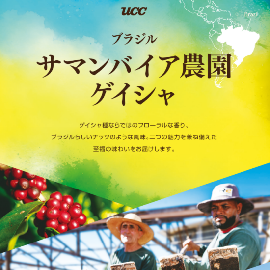【UCC】ブラジルの大地から人気品種「ゲイシャ」が入荷します‼✨