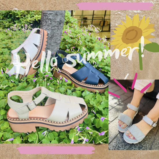 2024⋈NEWsandals⋈﻿