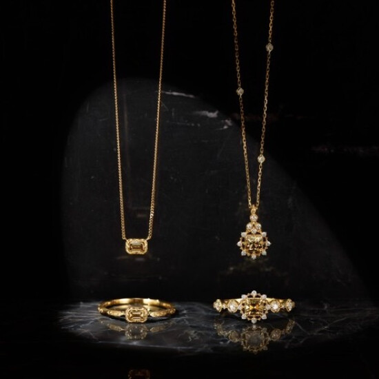2022 winter collection ⁎⁺˳✧༚〜ダイヤネックレス〜