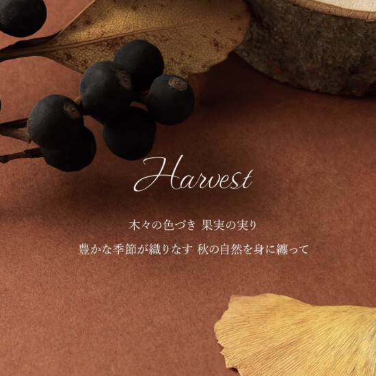 TAKE-UP｜7/28(金)発売ˊ˗ Autumn Collection 【 Harvest 】🍂🎶*。