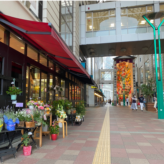 「サボテン入荷しました〜その2🌵🌵」