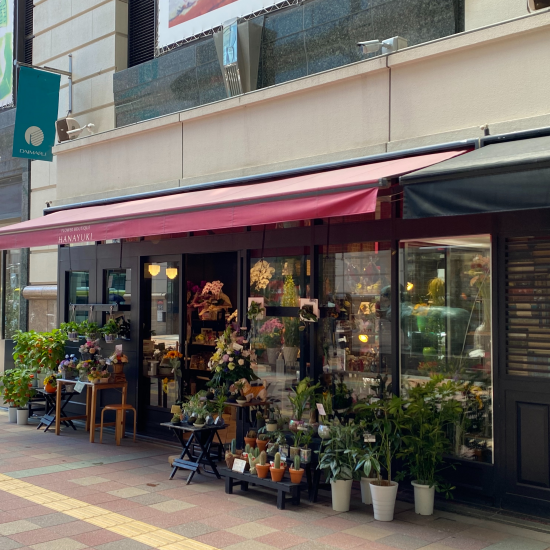🌻❗️夏のひまわり祭り❗️🌻