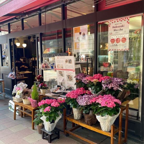 紫陽花を読み解いっちゃったゾの巻