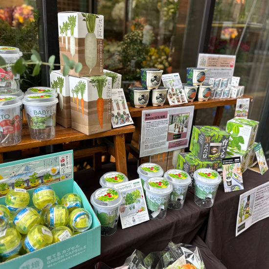 🌿 育てる喜び、心を育む。特別な栽培キットが登場！ 🌱