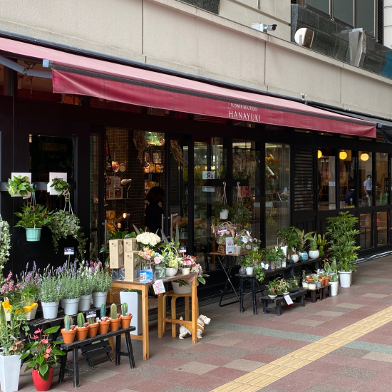 【サボテン入荷しました〜🌵】