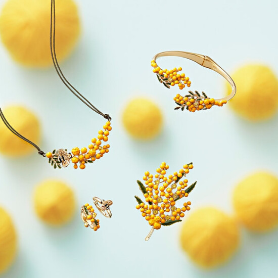 ミモザコレクション💛