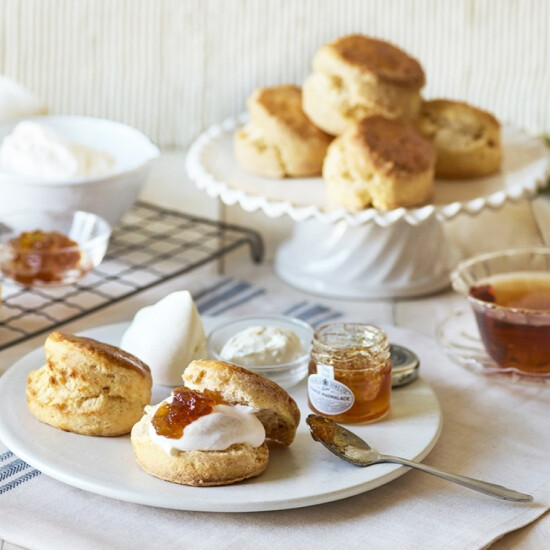 初夏限定メニュー