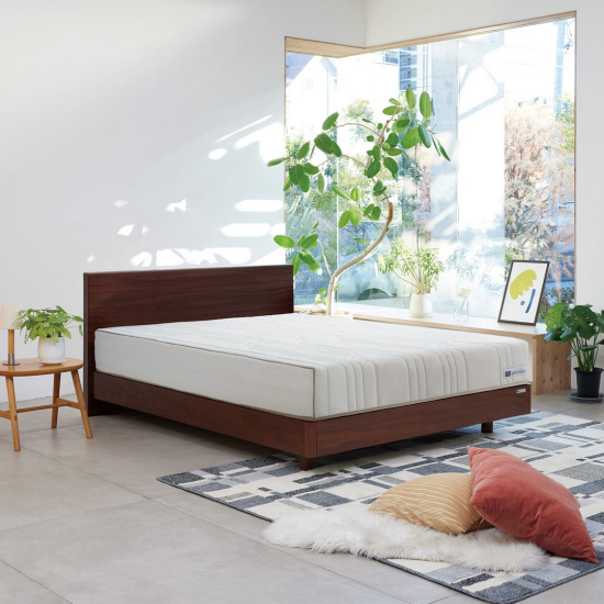 新生活にもおすすめ✨新商品のベッドマットレス🛌