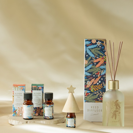 【生活の木】冬季限定　シトラスウインターシリーズ