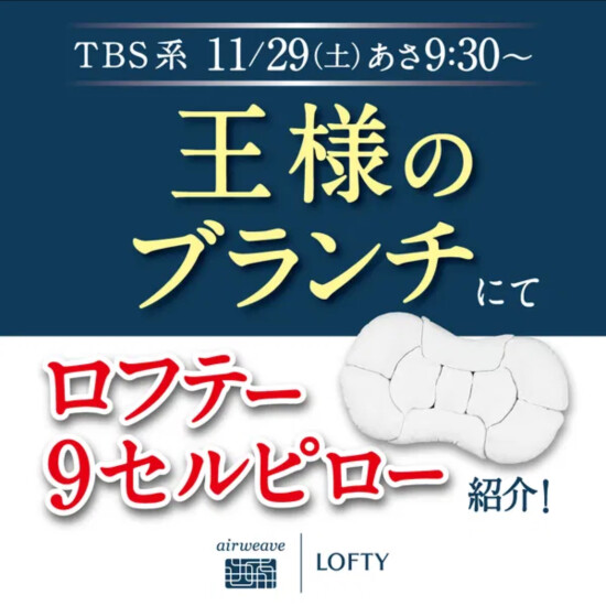 【ロフテー枕工房】商品紹介✨9セルピロー