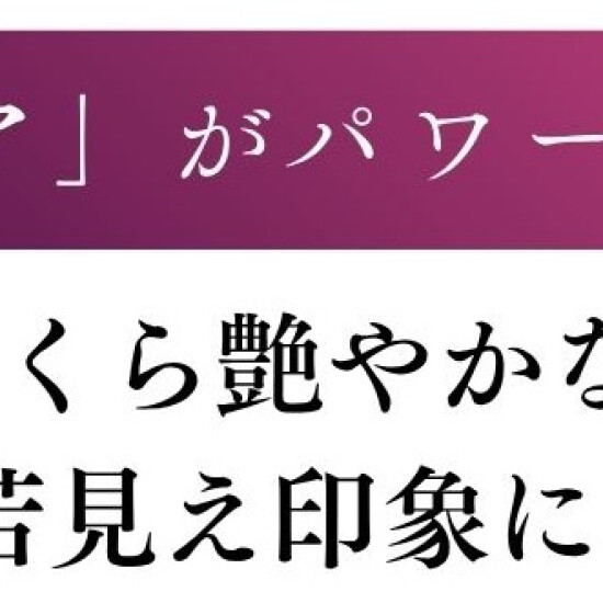 人気のオプションメニューが復活‼️