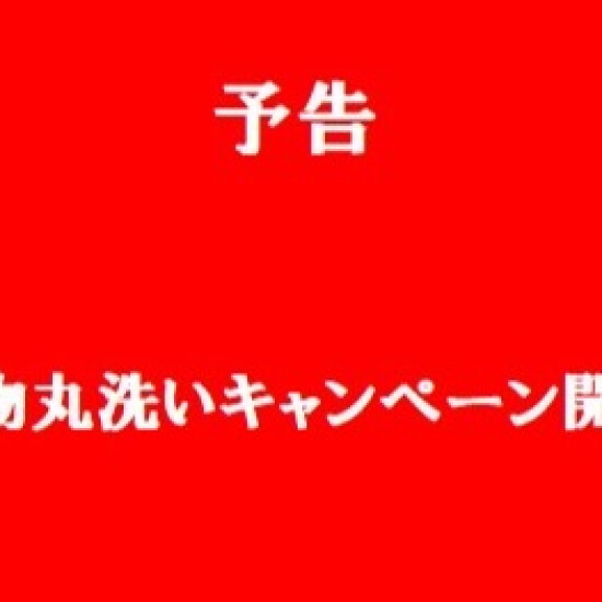 予告❗️きもの丸洗いキャンペーン開催👘