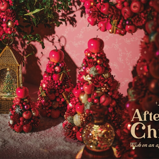 Afternoon Tea Christmas 2024