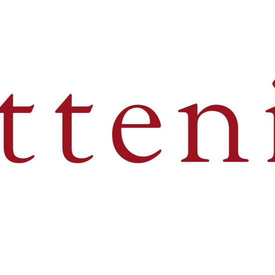 ㊗️ 2026年新春福袋 ㊗️