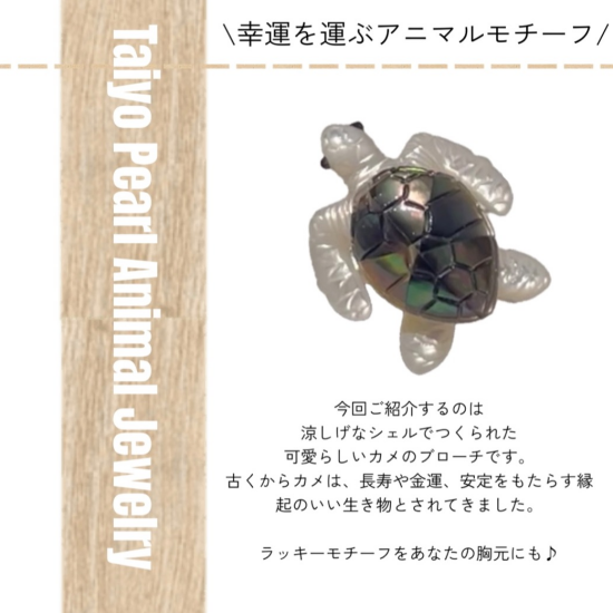 カメのパールブローチのご案内🐢