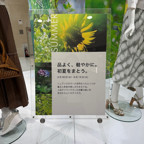 💐　Early    Summer　💐　　＜本１Ｆ　メイン　VP＞　　　　