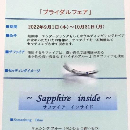 🇬🇧『モニッケンダムブライダルフェア』🇬🇧〜今月までです〜