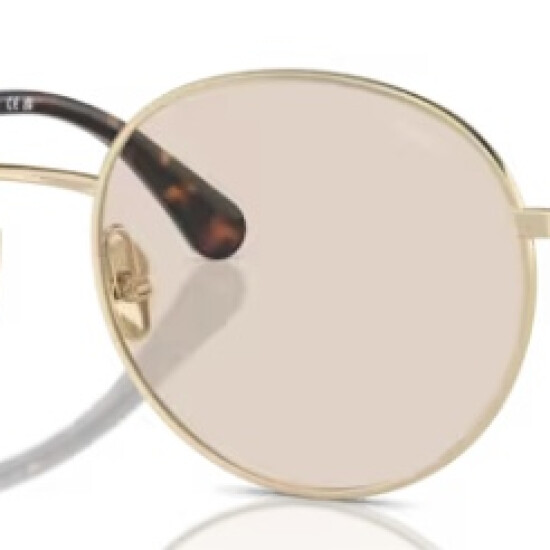 CHANEL Sunglasses: Oval Sunglasses, acetate & nylon