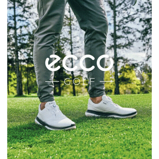 【 ECCO 】🏌️‍♂️メンズ新作ゴルフシューズ✨
