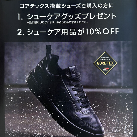 エコー　☔️ゴアテックスフェア👟