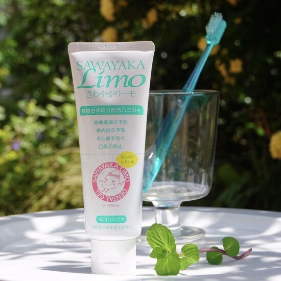 お口に優しい薬用歯磨き🦷