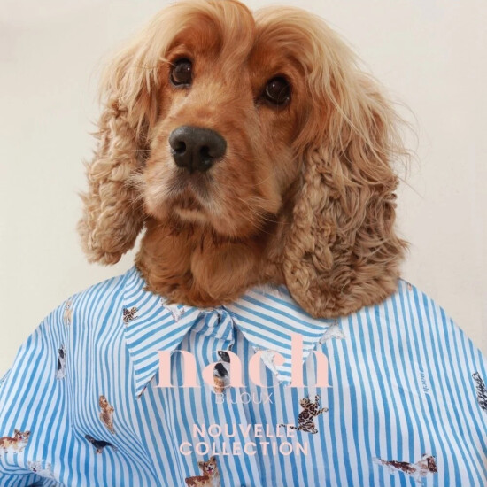 【アッシュ・ぺー・フランス】Nach 新作アクセサリーコレクション入荷