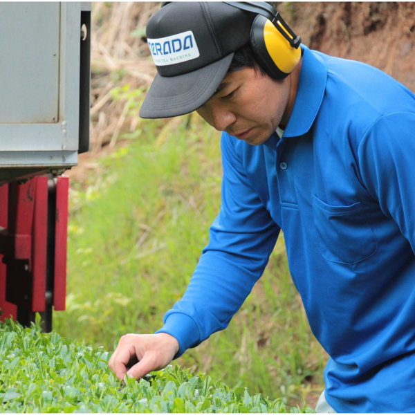 Vol.5 【熊本県水俣市】「みなまた和紅茶」ブランドの第一人者、お茶の坂口園三代目： 坂口和憲