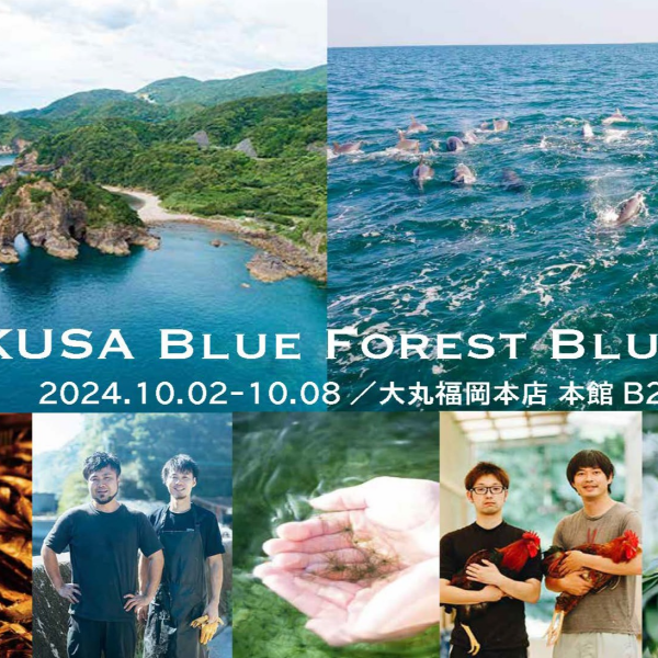 Amakusa Blue Forest Blue Sea