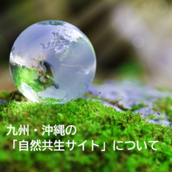 🌎🌳九州・沖縄の生き物たちの命をつなぐ「自然共生サイト」🌳🌎
