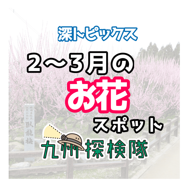 【２月～３月】お花のスポット🌸