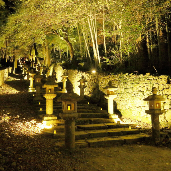 【秋のお祭り】万松院まつり[長崎県]