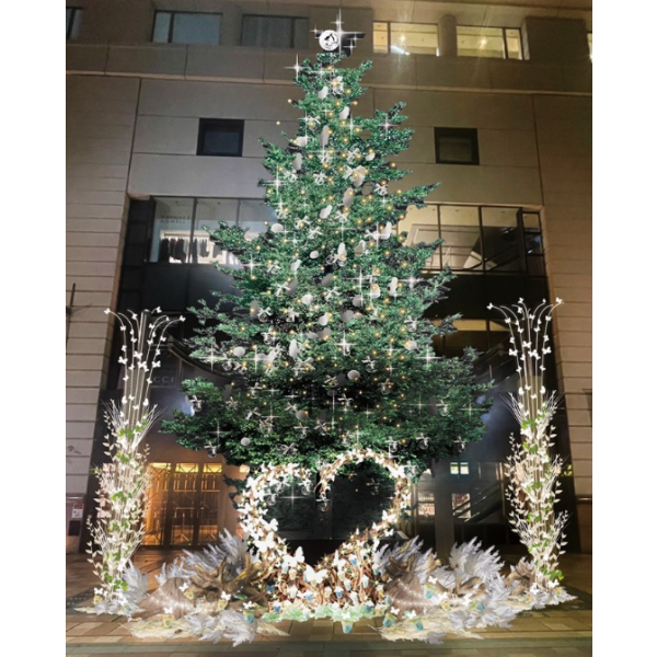 🎄 大丸のクリスマス2024 点灯式イベント 🎄