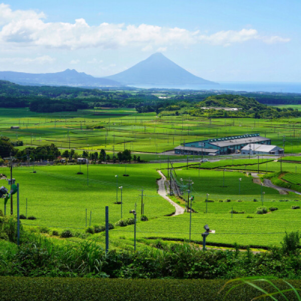 【鹿児島県魅力発信マルシェinパサージュ広場】南九州市