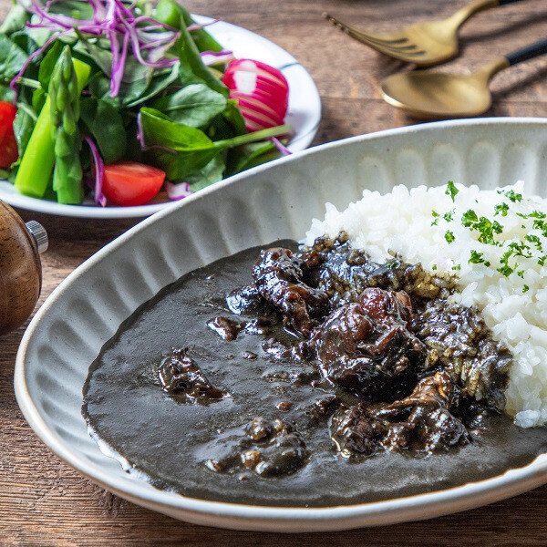 探検隊のおすすめ♪　【宮崎／㈱野上食品】宮崎牛スジ濃厚黒カレー